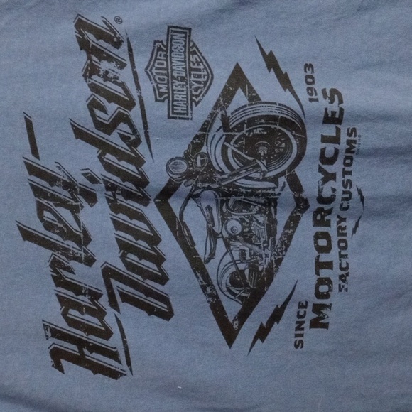 Harley-Davidson Other - Harley-Davidson Blue Long Sleeve Tee Men’s Large